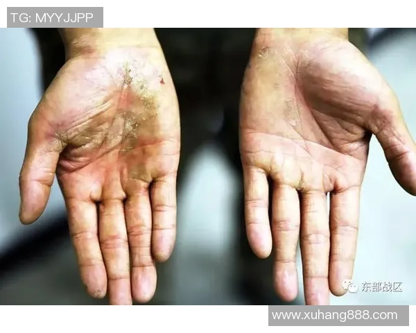 南京足球队逆袭之路的真实故事与奋斗精神的纪实记录