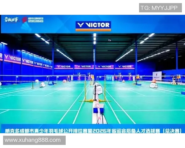 成都羽毛球队的转型之路与深度解析羽毛球运动的未来发展