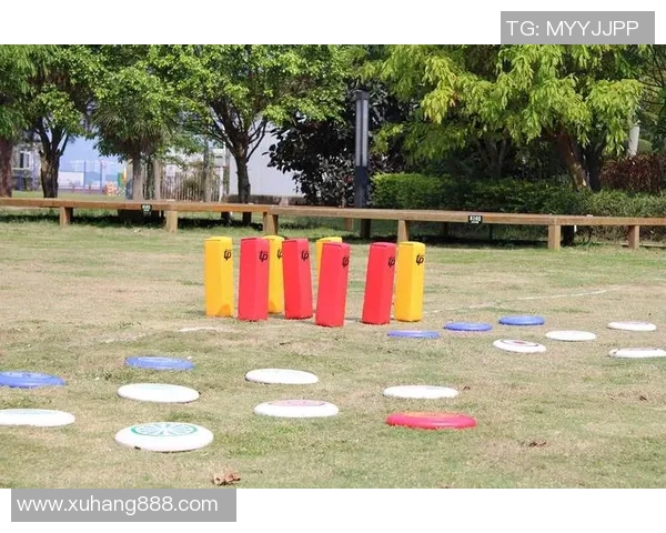 杭州飞盘队包夹战术解析与飞盘运动的战术发展探讨 杭州飞盘队包夹战术解析与飞盘运动的战术发展探讨