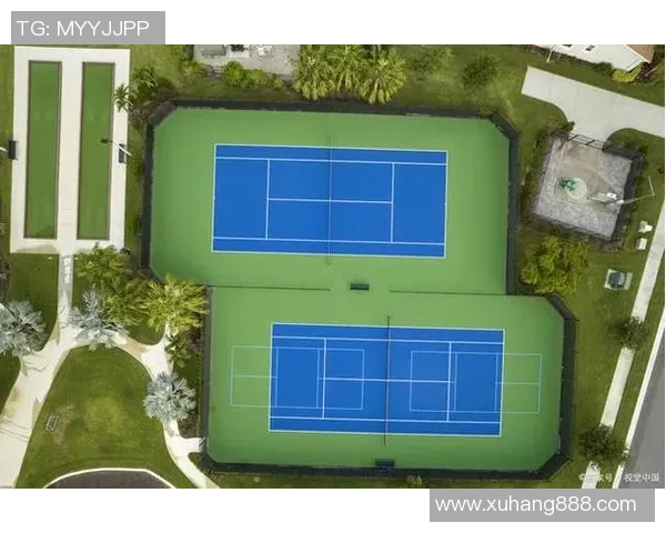 南京网球队状态分析与表现评估探讨及未来发展方向研究