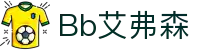 中国·Bb艾弗森(ballbet贝博)有限公司-官方网站